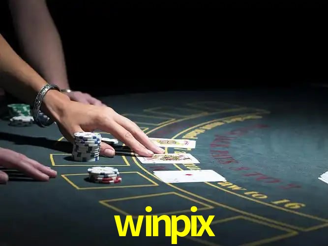 Sistemas de Segurança winpix